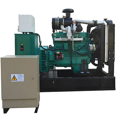 Buy Diesel Powered Generator Outdoor Activities Open Type Diesel Generator Easy Maintenance Mini Diesel Generator online manufacture